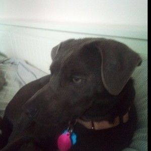 Meet your Posher, Zoeyh